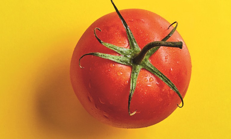 Tomaten op gele ondergrond Grand'Italia